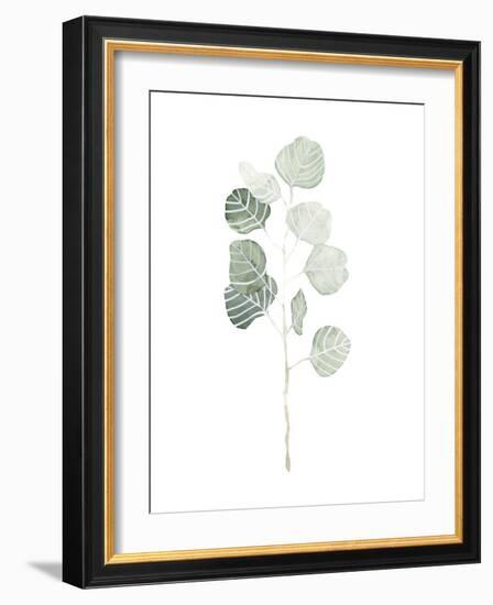 Soft Eucalyptus Branch I-Emma Scarvey-Framed Art Print