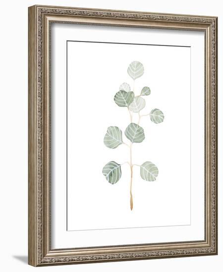 Soft Eucalyptus Branch II-Emma Scarvey-Framed Art Print