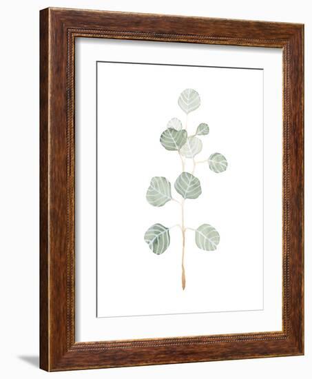 Soft Eucalyptus Branch II-Emma Scarvey-Framed Art Print