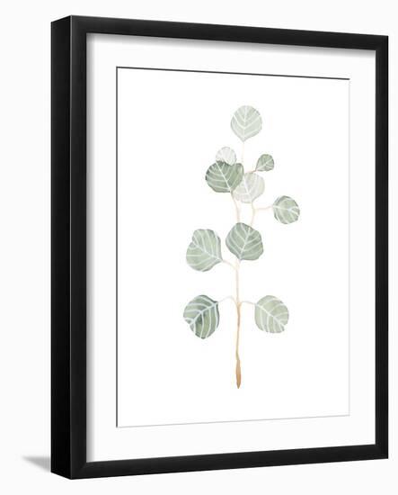 Soft Eucalyptus Branch II-Emma Scarvey-Framed Art Print