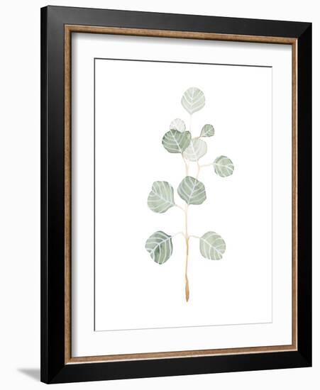 Soft Eucalyptus Branch II-Emma Scarvey-Framed Art Print