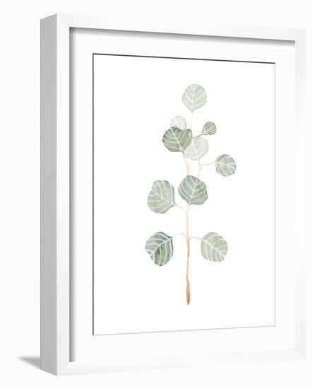 Soft Eucalyptus Branch II-Emma Scarvey-Framed Art Print