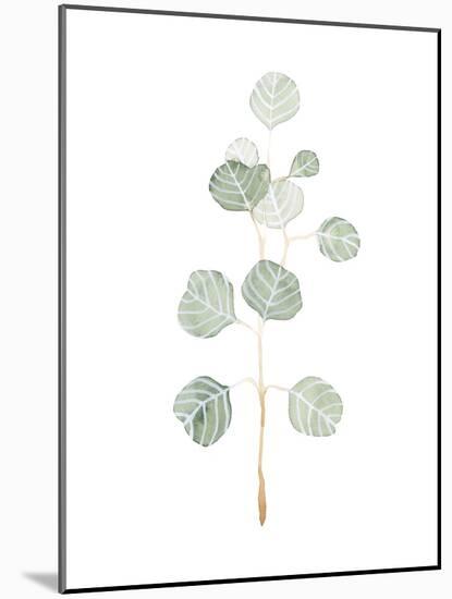 Soft Eucalyptus Branch II-Emma Scarvey-Mounted Art Print