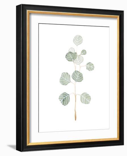 Soft Eucalyptus Branch II-Emma Scarvey-Framed Art Print