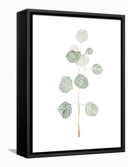 Soft Eucalyptus Branch II-Emma Scarvey-Framed Stretched Canvas