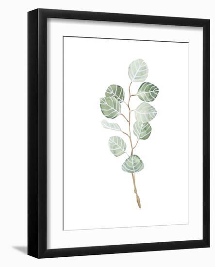 Soft Eucalyptus Branch III-Emma Scarvey-Framed Art Print