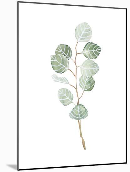 Soft Eucalyptus Branch III-Emma Scarvey-Mounted Art Print
