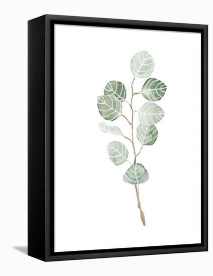 Soft Eucalyptus Branch III-Emma Scarvey-Framed Stretched Canvas
