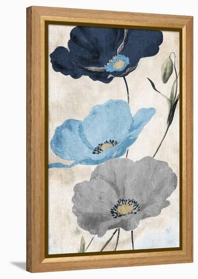 Soft Florals-Jace Grey-Framed Stretched Canvas