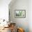 Soft Focus Succulent 1-Julie Greenwood-Framed Art Print displayed on a wall