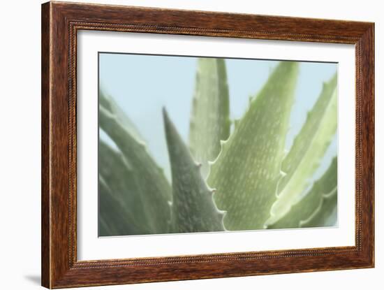 Soft Focus Succulent 1-Julie Greenwood-Framed Art Print