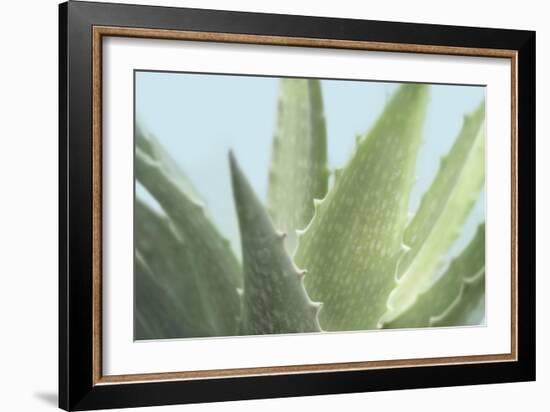 Soft Focus Succulent 1-Julie Greenwood-Framed Art Print