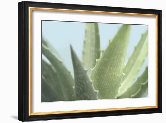 Soft Focus Succulent 1-Julie Greenwood-Framed Art Print