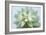 Soft Focus Succulent 2-Julie Greenwood-Framed Art Print