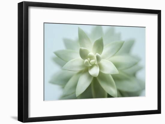 Soft Focus Succulent 2-Julie Greenwood-Framed Art Print