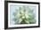 Soft Focus Succulent 2-Julie Greenwood-Framed Art Print