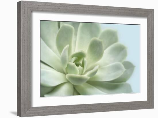 Soft Focus Succulent 3-Julie Greenwood-Framed Art Print