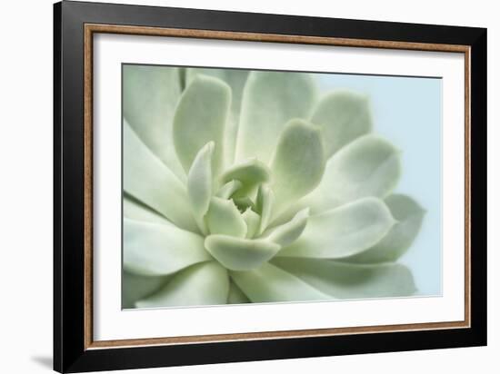 Soft Focus Succulent 3-Julie Greenwood-Framed Art Print