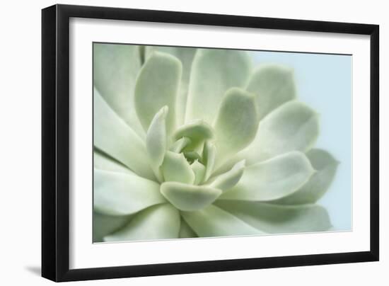 Soft Focus Succulent 3-Julie Greenwood-Framed Art Print