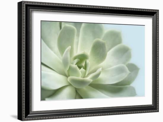 Soft Focus Succulent 3-Julie Greenwood-Framed Art Print