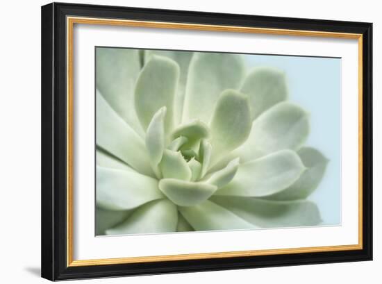 Soft Focus Succulent 3-Julie Greenwood-Framed Art Print