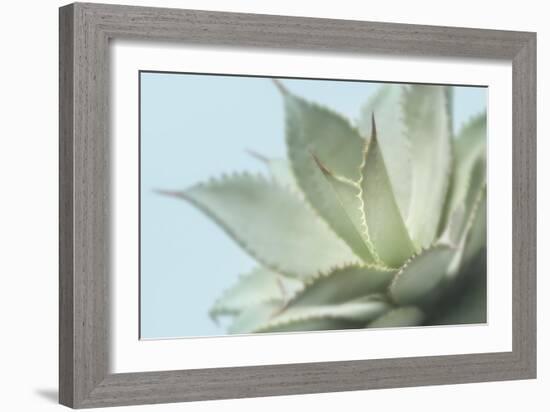 Soft Focus Succulent 4-Julie Greenwood-Framed Art Print