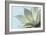 Soft Focus Succulent 4-Julie Greenwood-Framed Art Print