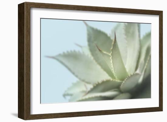 Soft Focus Succulent 4-Julie Greenwood-Framed Art Print