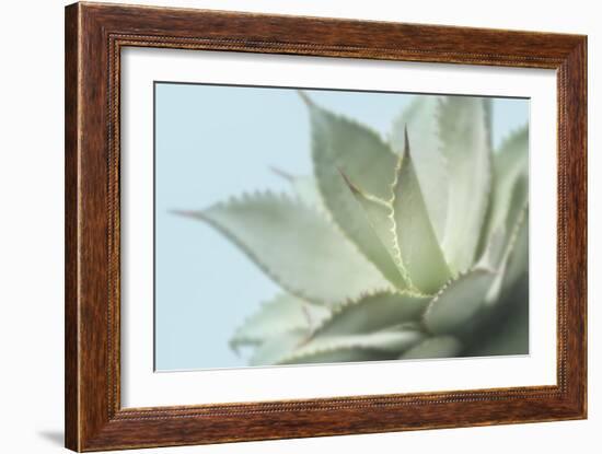 Soft Focus Succulent 4-Julie Greenwood-Framed Art Print