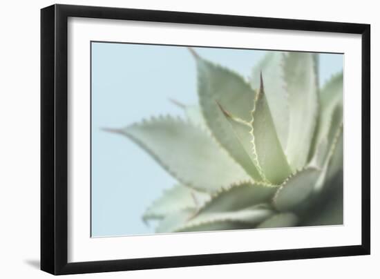 Soft Focus Succulent 4-Julie Greenwood-Framed Art Print