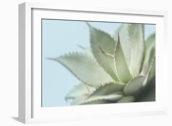 Soft Focus Succulent 4-Julie Greenwood-Framed Art Print