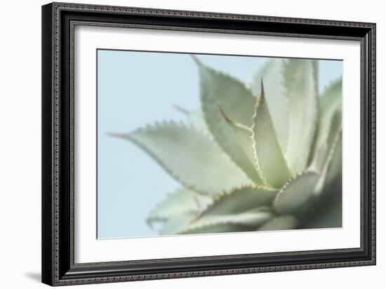 Soft Focus Succulent 4-Julie Greenwood-Framed Art Print