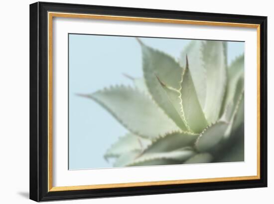 Soft Focus Succulent 4-Julie Greenwood-Framed Art Print