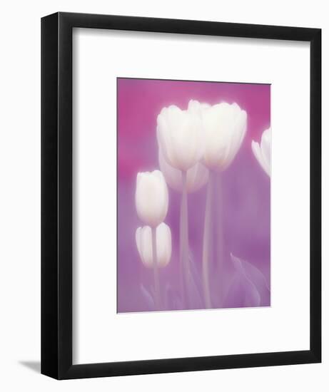 Soft Focus View of Tulips, Cincinatti, Ohio, USA-Adam Jones-Framed Photographic Print