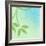 Soft Foliage II-Ruth Palmer-Framed Art Print