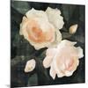 Soft Garden Roses I-Emma Caroline-Mounted Premium Giclee Print