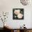 Soft Garden Roses I-Emma Caroline-Mounted Premium Giclee Print displayed on a wall