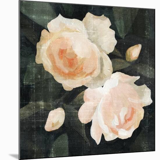 Soft Garden Roses I-Emma Caroline-Mounted Premium Giclee Print