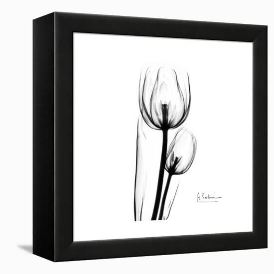 Soft Gray Tulips-Albert Koetsier-Framed Stretched Canvas