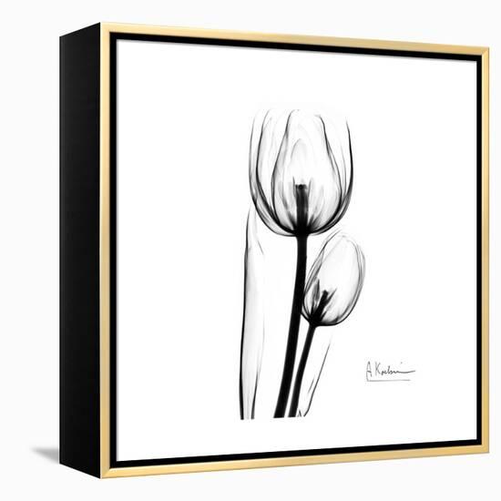 Soft Gray Tulips-Albert Koetsier-Framed Stretched Canvas