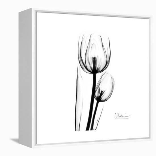 Soft Gray Tulips-Albert Koetsier-Framed Stretched Canvas