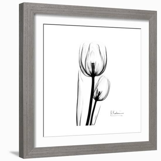 Soft Gray Tulips-Albert Koetsier-Framed Art Print