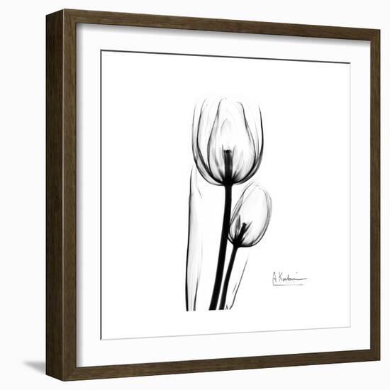 Soft Gray Tulips-Albert Koetsier-Framed Art Print