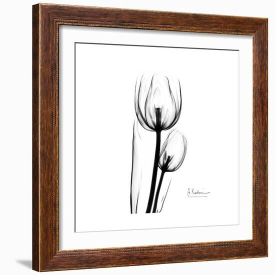 Soft Gray Tulips-Albert Koetsier-Framed Art Print