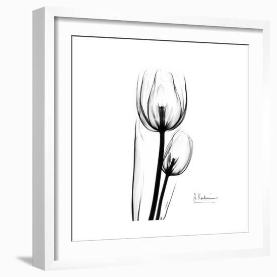 Soft Gray Tulips-Albert Koetsier-Framed Art Print