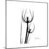 Soft Gray Tulips-Albert Koetsier-Mounted Art Print