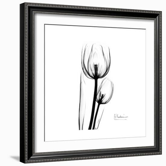 Soft Gray Tulips-Albert Koetsier-Framed Art Print