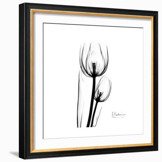 Soft Gray Tulips-Albert Koetsier-Framed Art Print