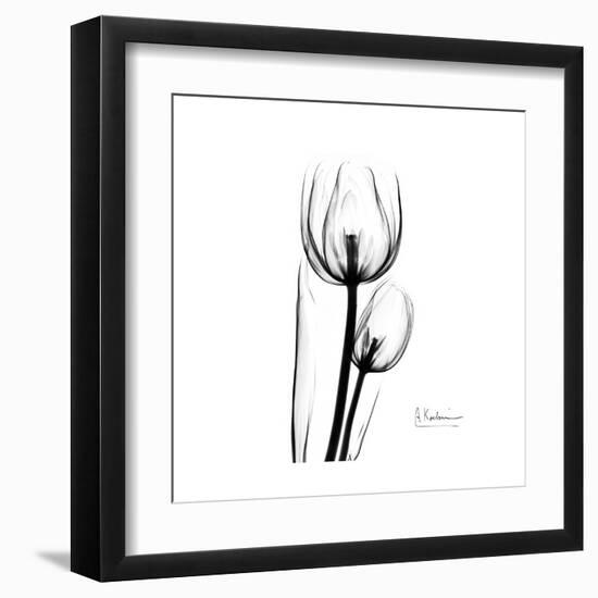 Soft Gray Tulips-Albert Koetsier-Framed Art Print