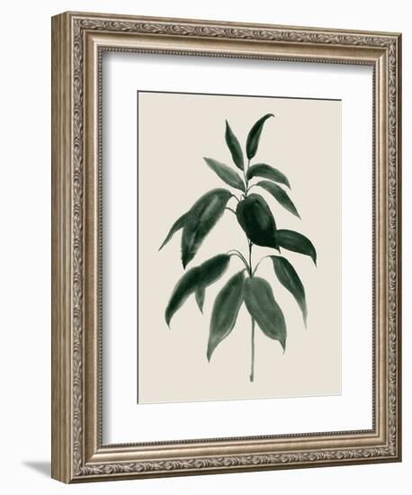 Soft Greenery II-Grace Popp-Framed Premium Giclee Print